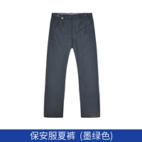 Чернильные зеленые летние брюки