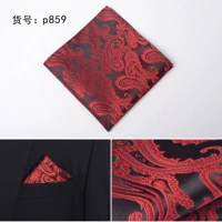 P859