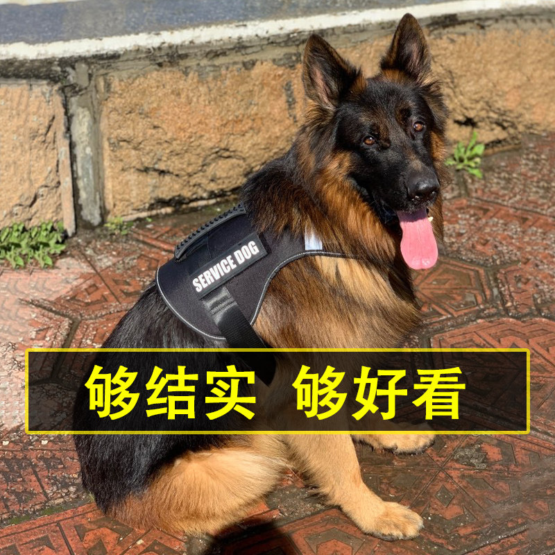 Dog Chest Holding Baby Bag Walking Dog Leash Golden Retriever Labrador Samoa Alaska Medium and Large Dog Chain - Taobao