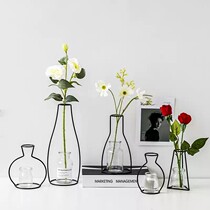 Wrought iron transparent glass vase Nordic living room creative flower arrangement Simple light luxury ins net red desktop decoration