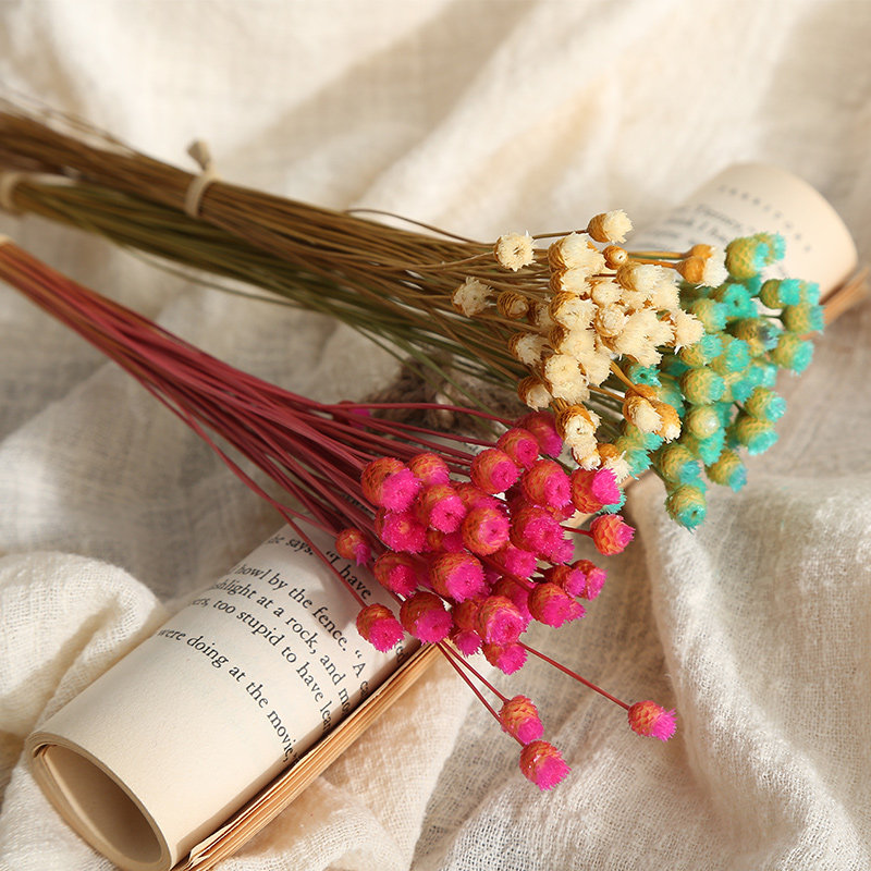 ���������ɻ���