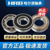 HRB Harbin Bearing 6200 201 202 6203 6204 6205 6206 2ZRZ Centripetal Deep Groove Ball