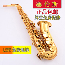 Sérens Sachs dropped E-alto saxophone beginner professional instrument saxophone
