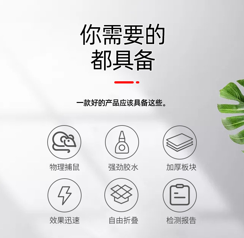威力捕 家用强力粘鼠板 10张 图4