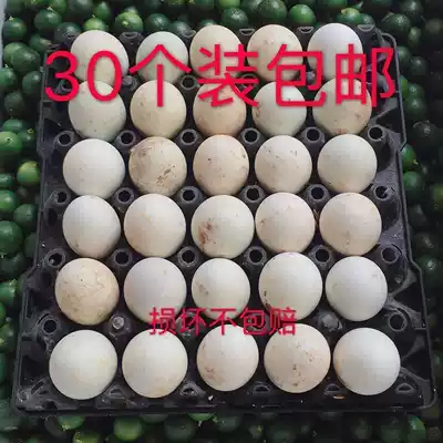 Guangxi Qutou Mao duck egg live beads 30 packs of long-term various snack sauces are not responsible for damage