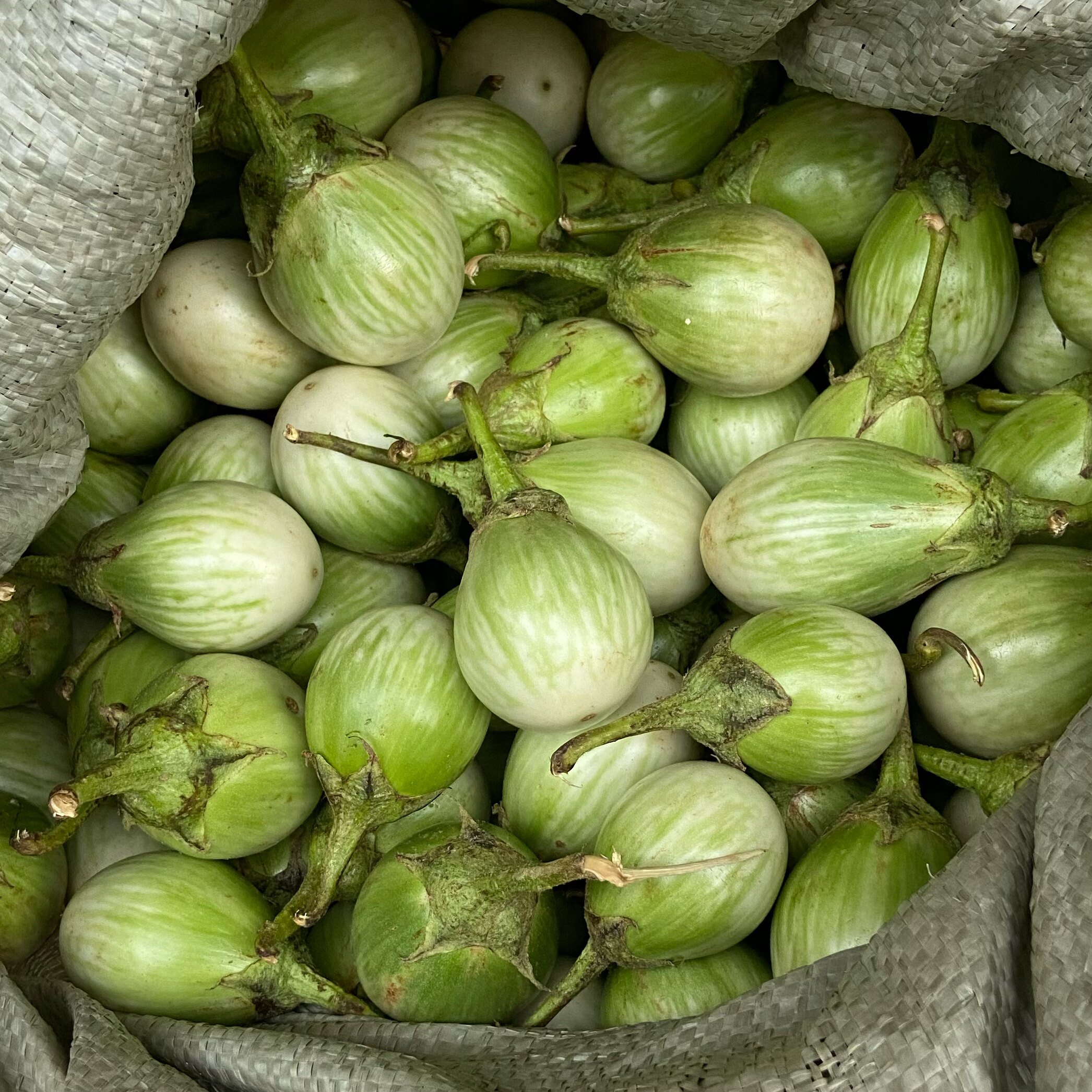 Fresh Thai green eggplants for sale Various specialty agricultural and sideline products Delicious snacks Sauce spices Southeast Asian flavors