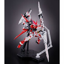 Bandai MG 1 100 red dragon form Red Dragon heresy change heresy confusion up to PB limited spot