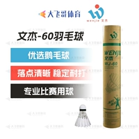 Wenjie WJ60, скорость 77 (требуется сообщение о скорости 76)