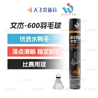 Wenjie WJ600 скорость 77 (требуется сообщение о скорости 76)