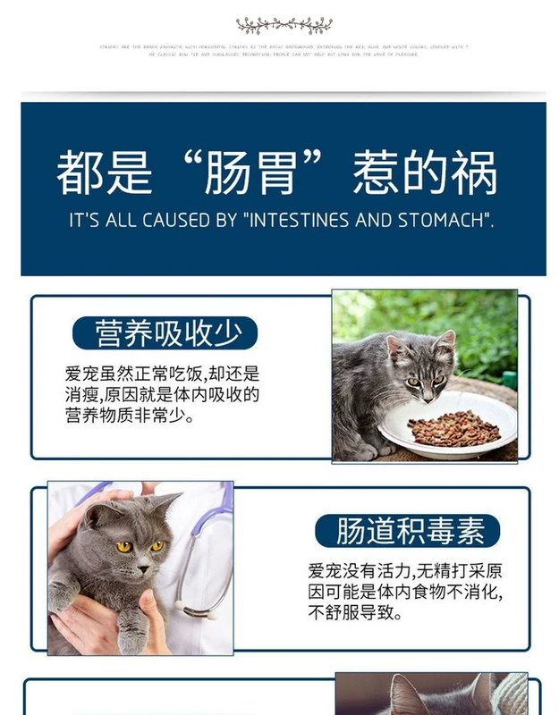 Cc gia đình Johnson yêu mèo men vi sinh cải thiện dạ dày - Cat / Dog Health bổ sung