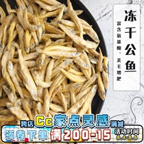 Cc fresh meat freeze-dried cat and dog snacks Dried fish Pond male fish Dried spring fish 100g unsalted cat dried fish