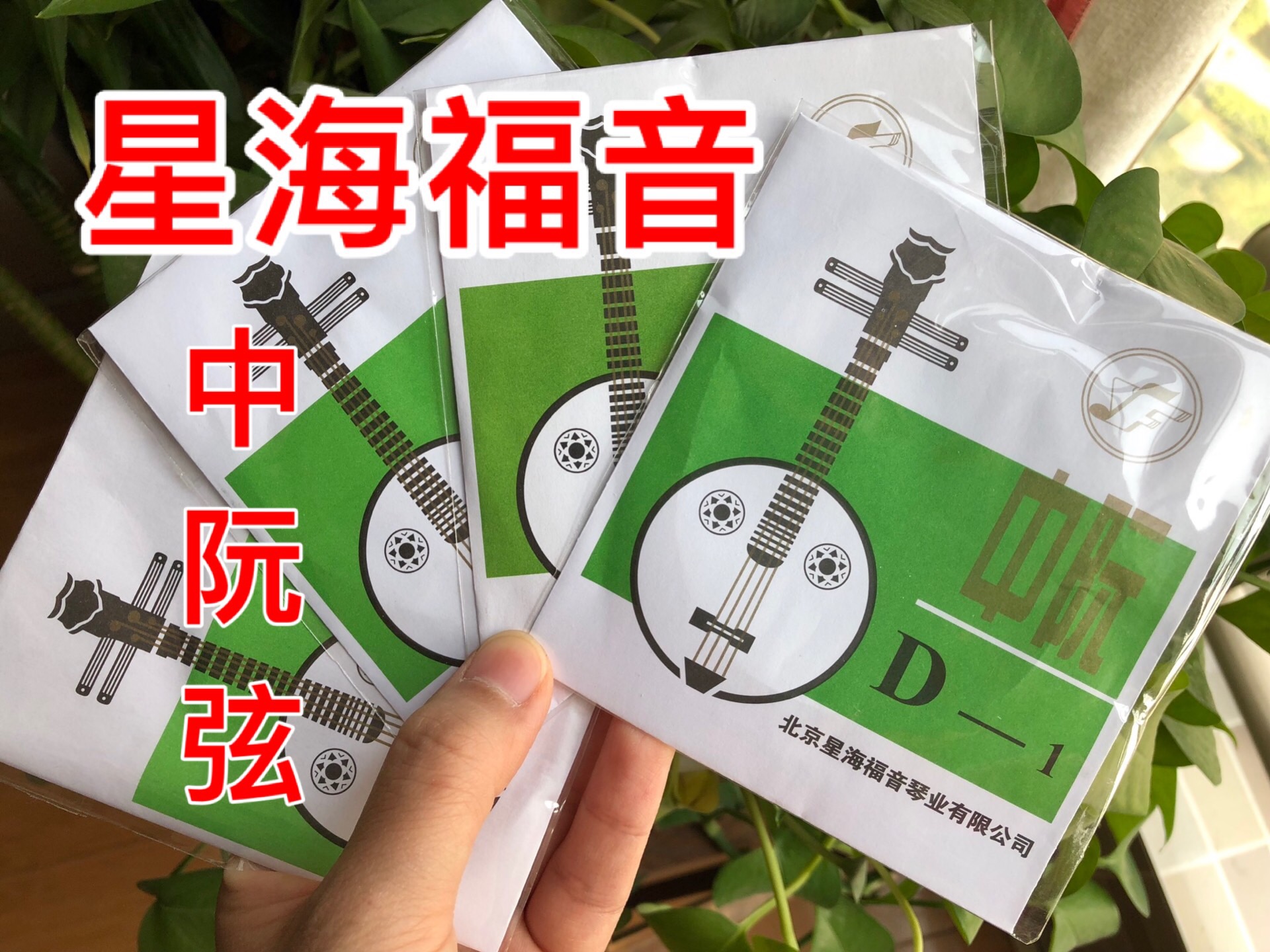 Starsea Gospel Cards of the Nguyen Strings 1234 Strings Small Ho Recommend Everyday Practice