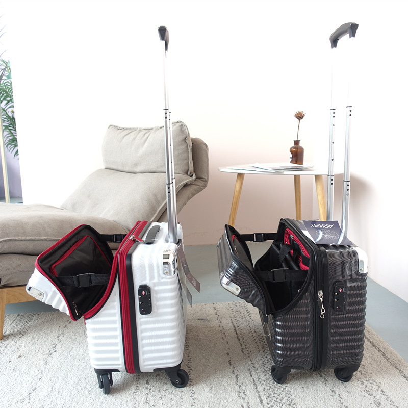 Export to Japan horizontal version of the trolley case net red cute computer male suitcase mini small 18 inch lightweight suitcase female