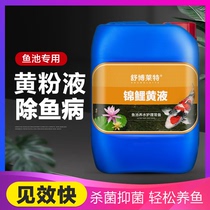 Fish pond yellow powder liquid fish pond sterilization and disinfection fish potion mildew disease treatment White Spot special koi rotten body