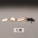 Модель когнитивного насекомых