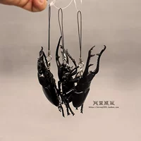 Ежедневная единая биологическая иллюстрация моделирование