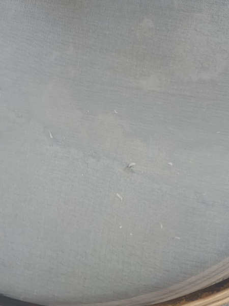 Stainless Steel Wire Mesh Sieve, Tea Leaf Drying Sieve, Stainless Steel Sieve, Drying Bamboo Sieve Tray, Metal Mesh Sieve