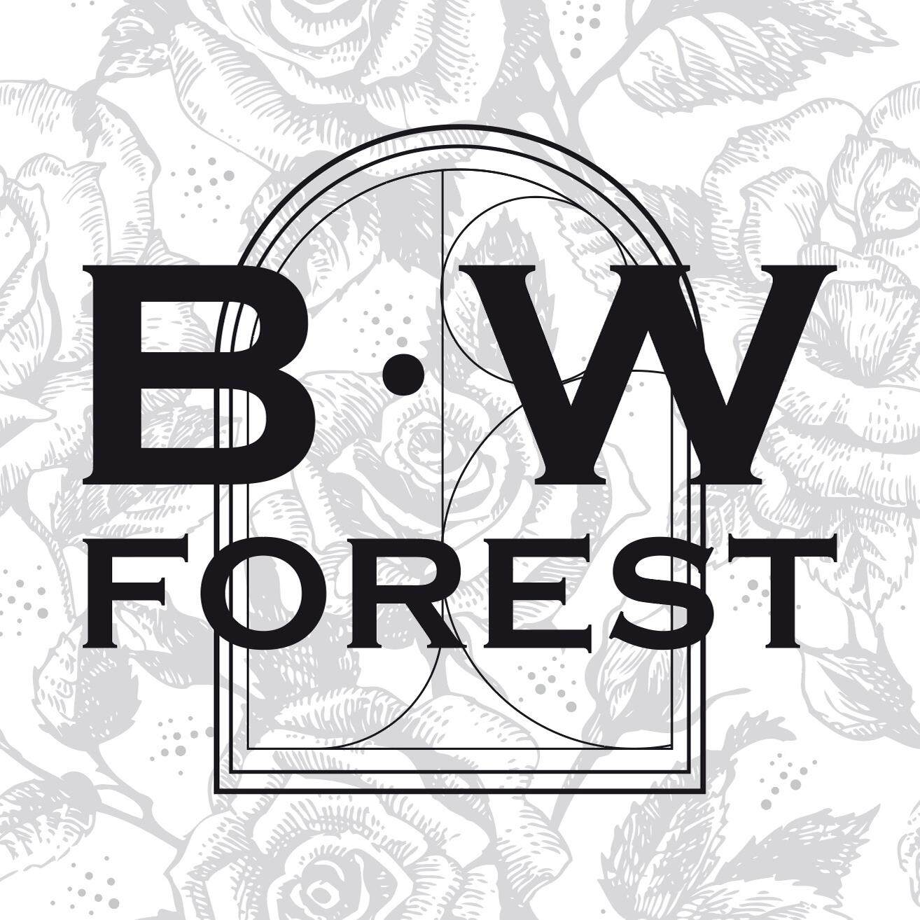 BW Forest轻奢法式内衣系列