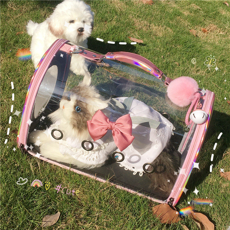 Cabin transparent cat pack outsourced portable pet bag handbag large capacity slope Teddy winter