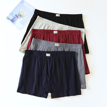 Underpants Male Modale cotton loose Gfaturing up high waist pure Thing slim fit minimalist Flat Corner Shorts Shorts Underpants Underpants