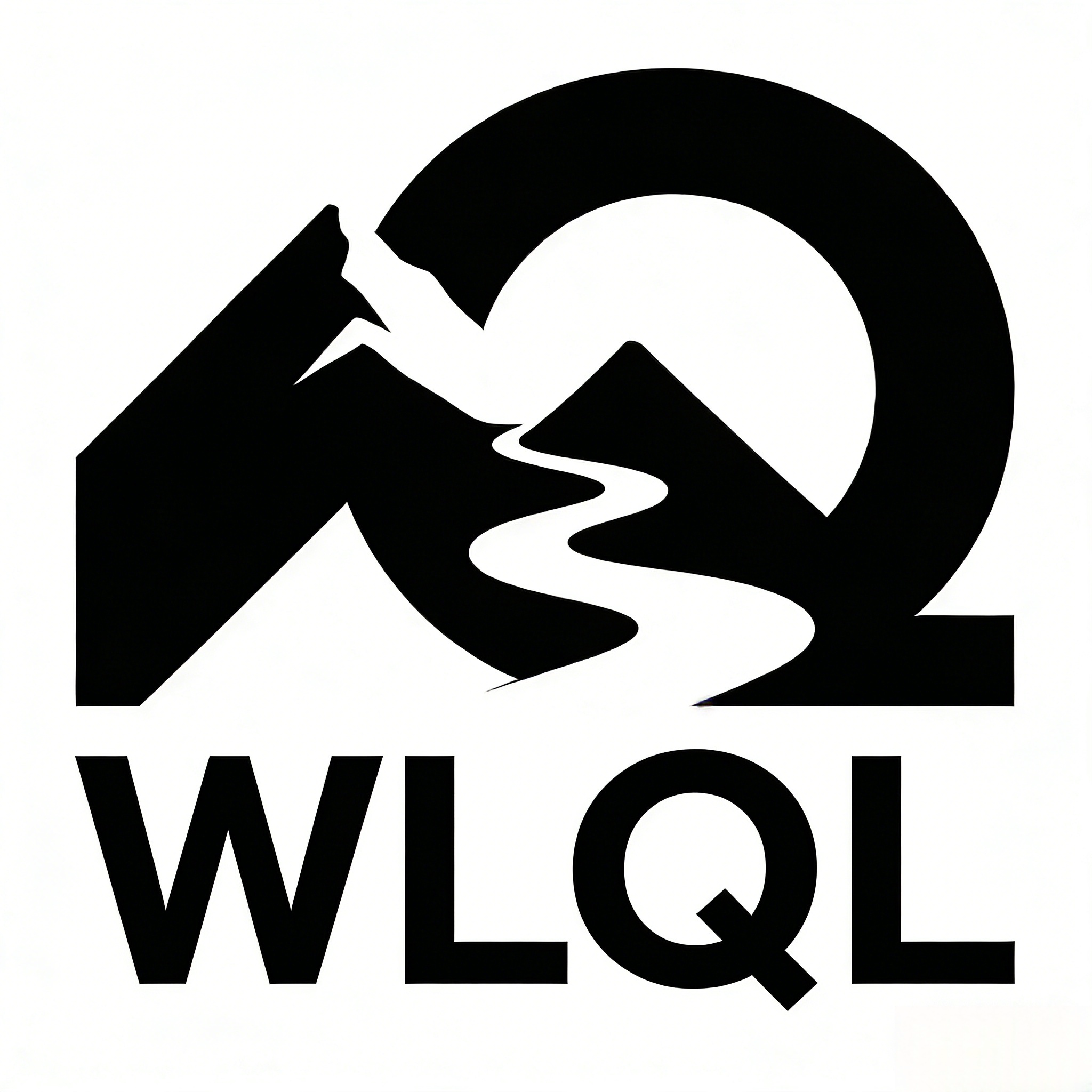 WLQL手机壳数码