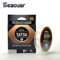 Sieger seaguar SEAGUAR Seg Carbon Line TATSU Rysiegron Front Line Asian 183 m