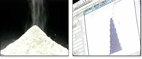 BETTER SHARK Порошок из акульего хряща