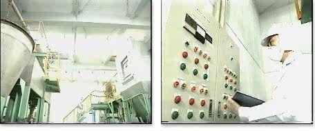 BETTER SHARK Порошок из акульего хряща