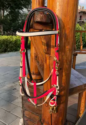High-end PVC endurance water leech bridle chest strap three-piece set high cold-resistant outdoor wild riding cage wo Qi harness