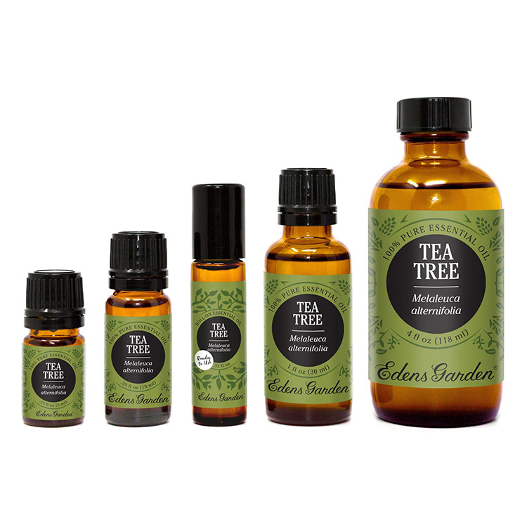 Tea Tree-3.jpg