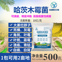 500g Hartswood mold to fight fungal earth transmission of the vegetable root rot withered gray mold and white powdery mildew