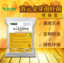 Spray type Bacillus thuringiensis 10 billion vegetable green worm Corn borer drill heartworm small vegetable moth Plant biological insecticide