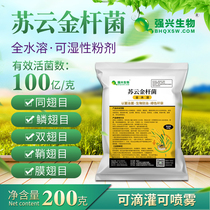 Total Water Soluble Suyun Golden Bacilli 10 billion Vegetable Green Worm Corn Borer Drill Heart Worm Small Vegetable Moth Plant Bio-Anti-Insect