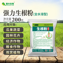 Strong Roots Powerful Rooting Powder Tree Fruit Tree Hair Root Agents Plant Universal Cuttage With Strong Roots Liquid Quick Care Roots Feat