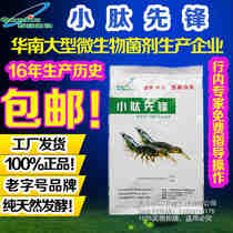 Small peptide pioneer protein feed Fertilizer pond seedling increase shrimp seedling fry growth rate Increase lure food
