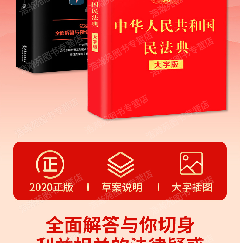 中华人民共和国民法典+法律常识 两本装 图2