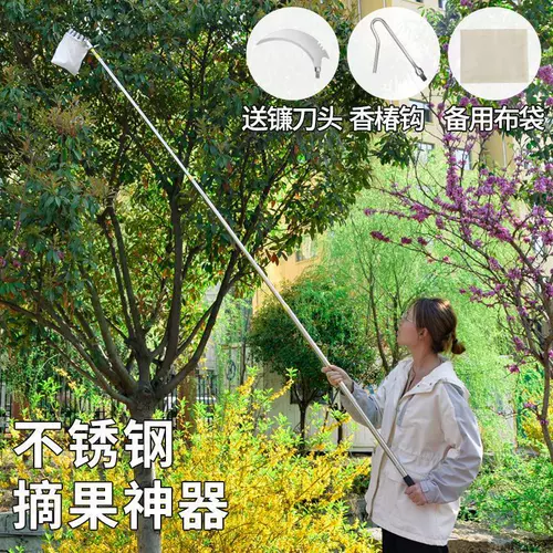 Немецкий Сейко, собирающий стиль, собирая, собирая 20/10 метров толстых деревьев, выбирают каштаны и гранаты