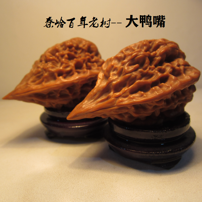 文玩核桃 原树吸血鬼官帽 32mm