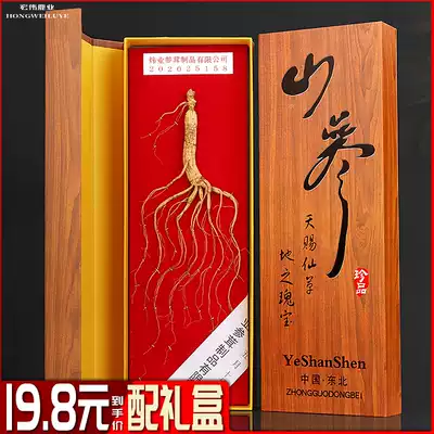 Changbai Mountain ginseng gift box Mountain Ginseng gift box Jilin ginseng wild ginseng transplanted under the forest ginseng certificate soak wine material
