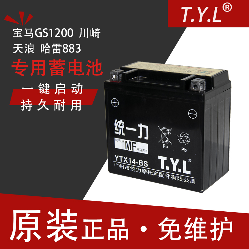Unified Force TYL Large Displacement Locomotive battery YTX14 Harley 883 Battery Hard Han 1200 General 750VX72