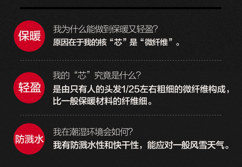 Blouson chaud pour homme DICKIES - Ref 3115207 Image 12