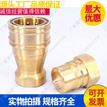 Factory direct high quality KZD10SF 10PF ZG1 2 inch open and close hydraulic quick connector nozzle