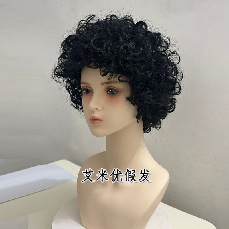 Afro Wig for Women, Short, Small Curls, Perm, Fluffy, Natural, Covers White Hair, Retro Curls, 2025 New Hair Set