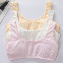 No Sponge Girl Underwear Girl Hair Growth Period Little Vest Girl children Primary students Primary students Pure Cotton Girl Bra