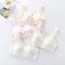 Lingerie Female Incubation Period Small Vest Large Child Girl Early Middle School Middle School Student 12-16 Year Old Without Steel Ring Girl Bra