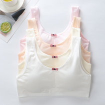 Teenage Bra Hood Student Little Vest Hair Birth Junior High School Junior High School Girl Wearing Adolescent Girl Smear Underwear