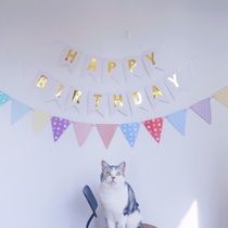  Pets Birthday Atmosphere Arrangement English Letters Labanner Bronzed Gold Birthday Suit