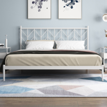 Iron bed double bed Nordic modern minimalist 1 8 M master bedroom small apartment minimalist style princess light luxury iron frame bed