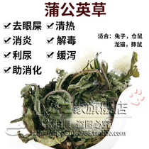 Rabbit Chinchow pig guinea pig hamster drying dandelion grass clearing heat and detoxification antibacterial anti-inflammatory Box 500g