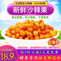 Shanxi specialty sea buckthorn fruit fresh fruit 1kg selected special grade natural wild sea buckthorn fruit enzyme juice Juice